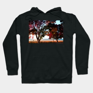 Autumn Sunrise in the Barossa Hoodie